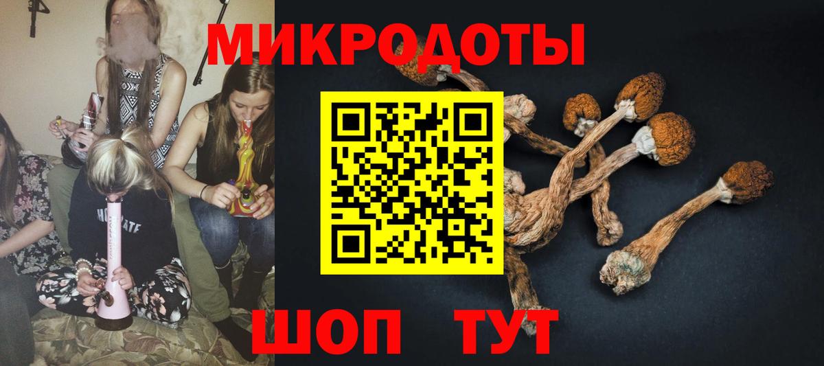 Махачкала  Галлюциногенные грибы мицелий  Вход с VPN 
